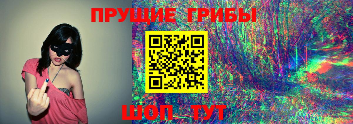 Галлюциногенные грибы Cubensis  Галлюциногенные грибы мицелий  Киселёвск  Вход с VPN 